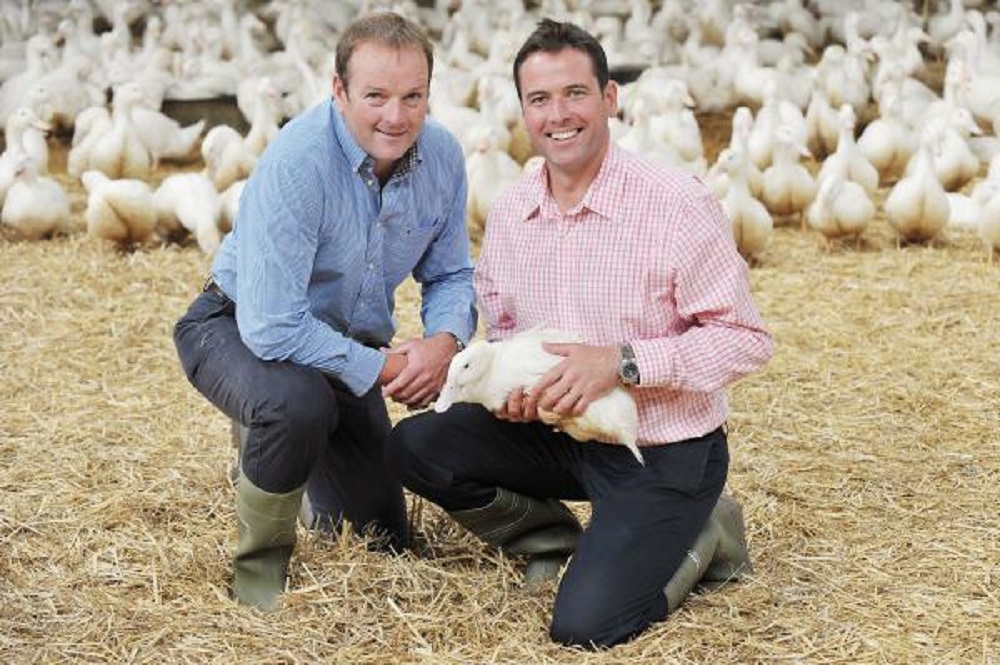 Gressingham to relocate game production - Poultry News