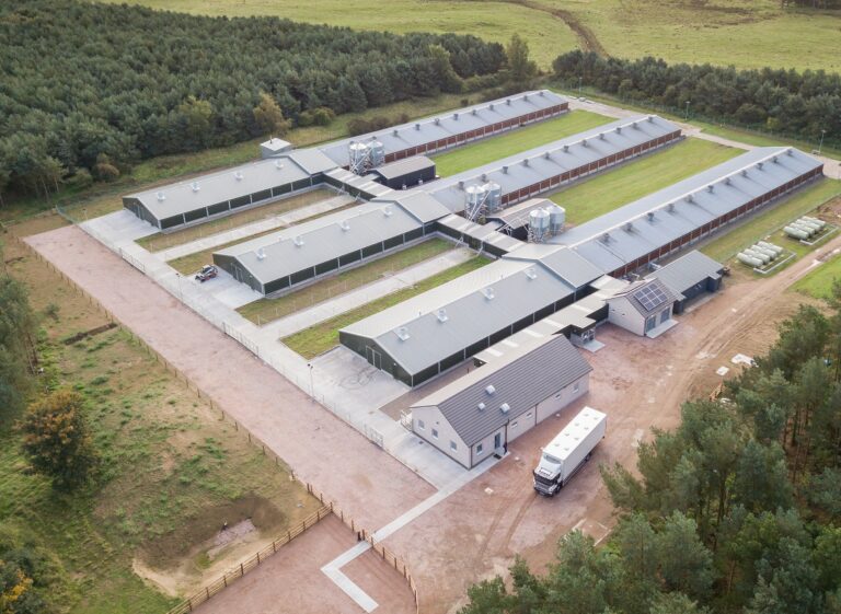 UK poultry breeding programme gets investment boost