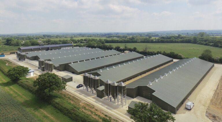 Buildings focus: Interview with Paul Clarke, director Clarke Group