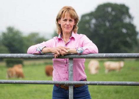 NFU calls agricultural drought summit as heatwave bites