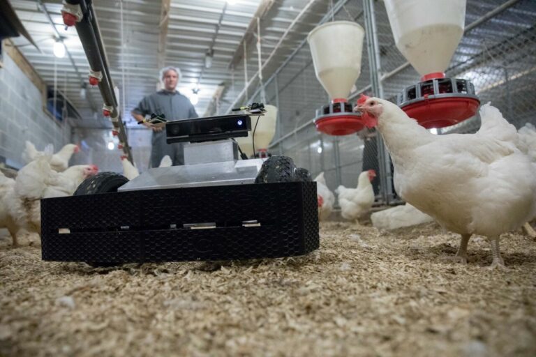 Agri-Tech Innovation Hub opens in midlands to develop robots, sensors and satellite technology