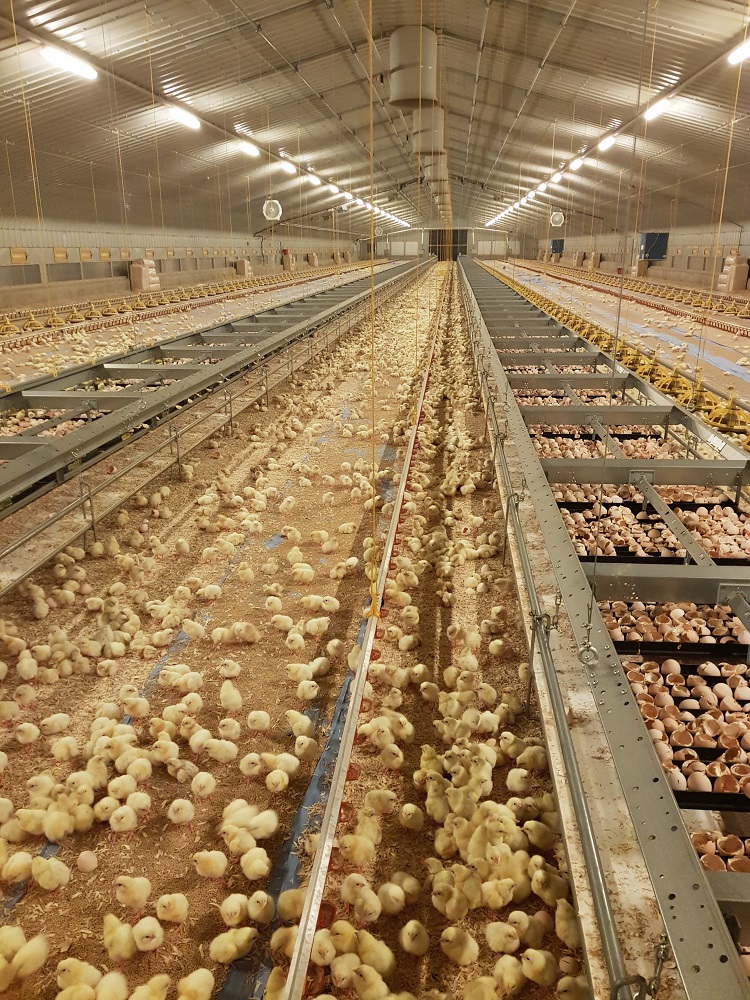 Barclays launches clinics across the UK to support agriculture businesses through Brexit