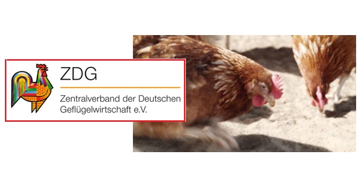 German poultry retailers urged to share drought costs