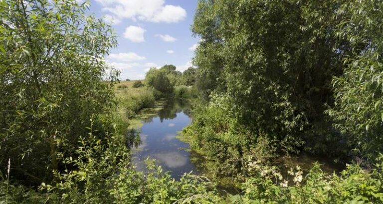 Farming and environment groups meet to discuss drought