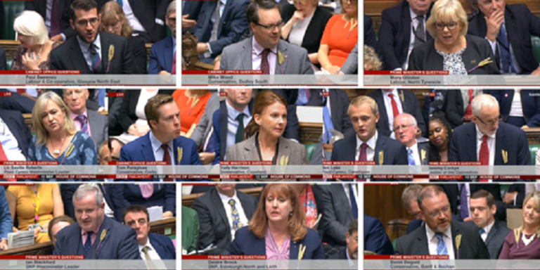 140 MPs show support for farming on Back British Farming Day