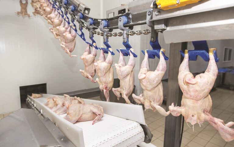 Analysis: Why coronavirus clusters must not force the closure of poultry ...