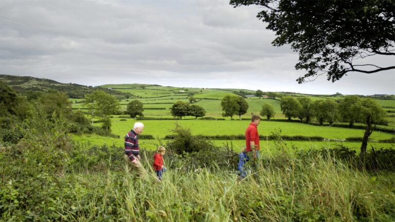 Farming partnership fined after child injured by ATV on Devon farm