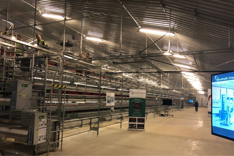 Egg farm permanently open to the public set to expand in Yorkshire