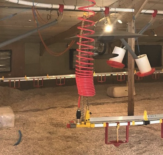 Semi-automatic flushing keeps drinkers clean