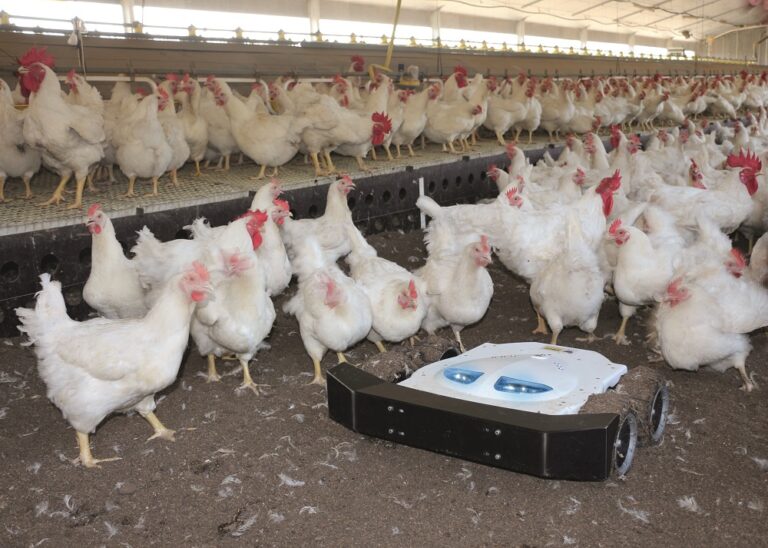 Robot ‘entertains’ while it works
