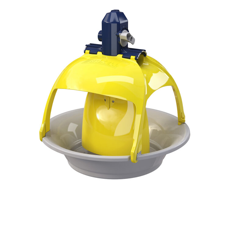 Roxell launches Titan, the largest feeder pan on the market for large turkeys