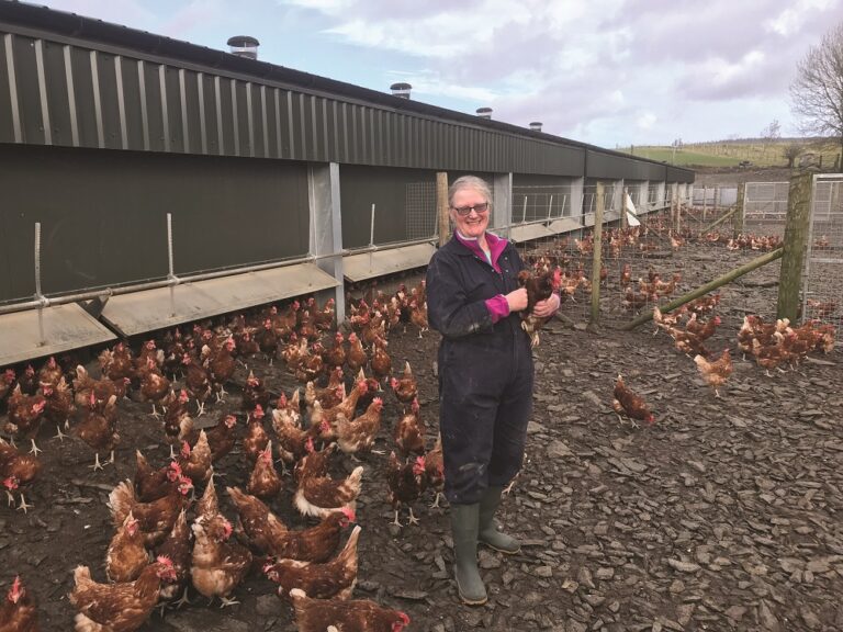 NFU gets teachers’ support for new education initiative