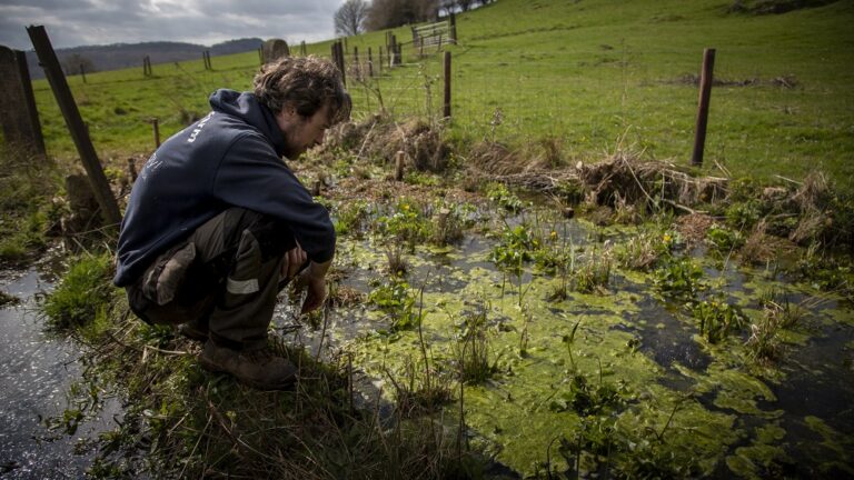 Share of £100,000 on offer for biodiversity schemes