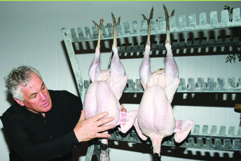Talking Turkey