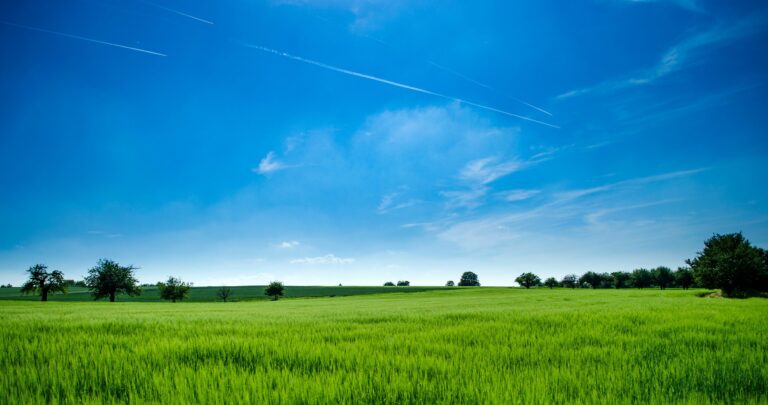Many agriculture workers ‘holding out for redundancy’