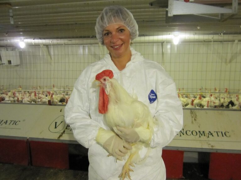 Feed & nutrition: the benefits of essential oils in poultry diets