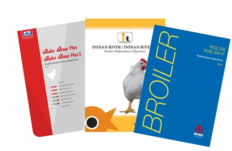 New broiler performance objectives released by Aviagen