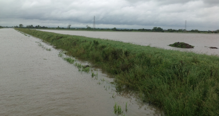Win for NFU as Government makes funding available for flood-hit farmers