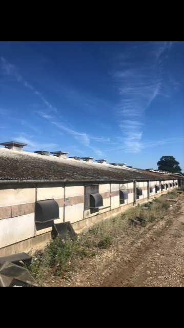Poultry buildings: New build or refurb?