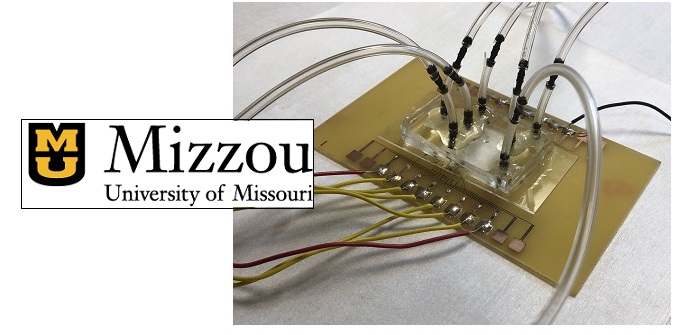New biosensor promises rapid salmonella detection
