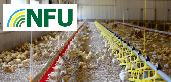 NFU voices significant concerns over Better Chicken Campaign
