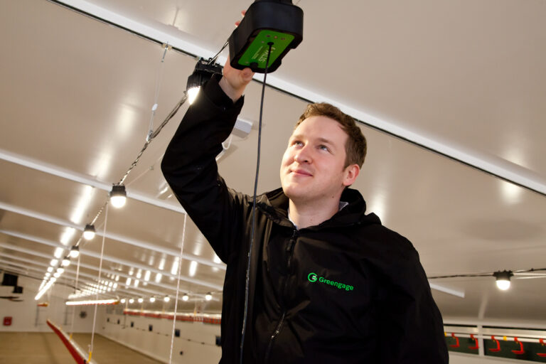 New suite of biosensors to help improve flock health and productivity