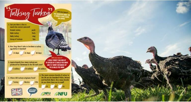 NFU launches new ‘Talking Turkey’ educational resources