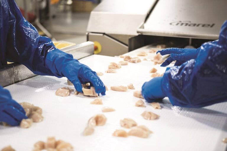 Processing equipment: a cut above the rest