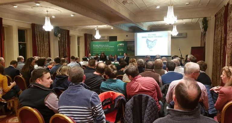 ‘Eggs are back in fashion’ is key message at NFU Cymru Annual Poultry Conference
