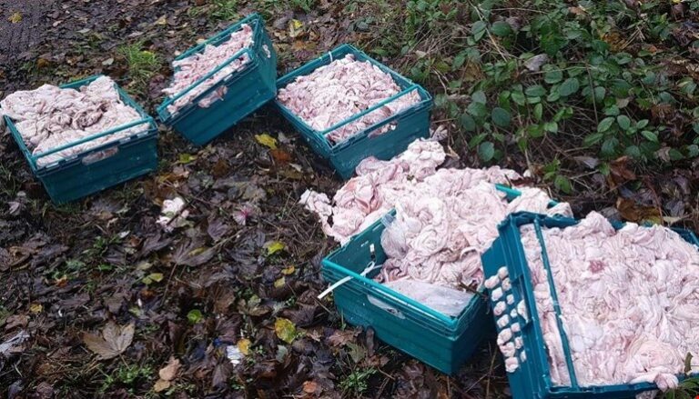 Illegal chicken dumpers in sights of trading standards in Darlington