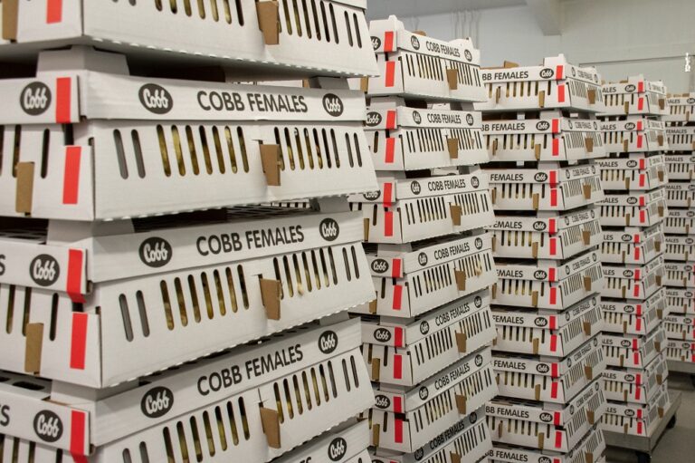 Cobb completes Norfolk hatchery expansion