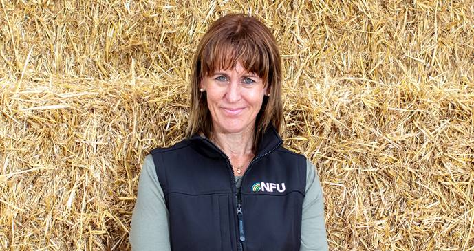 MPs urged to press government for details of protecting food standards in trade deals