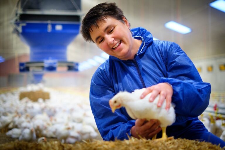 Wageningen research project developing ‘smart cameras’ for broilers
