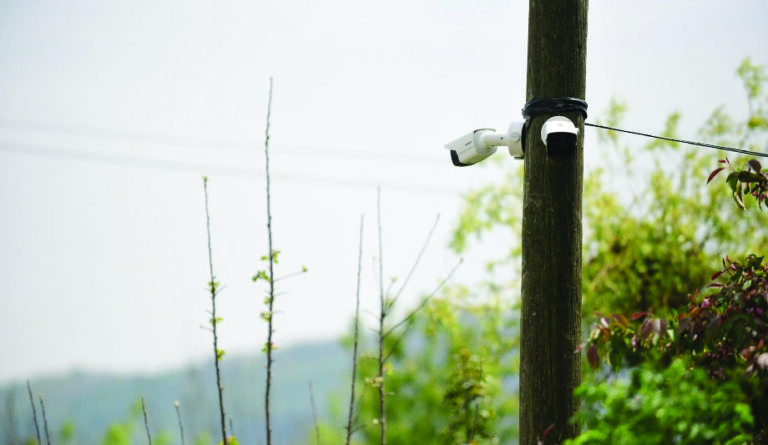 The threat from animal activists