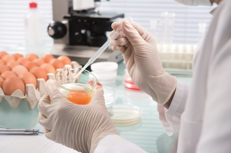 The importance of salmonella testing during lockdown