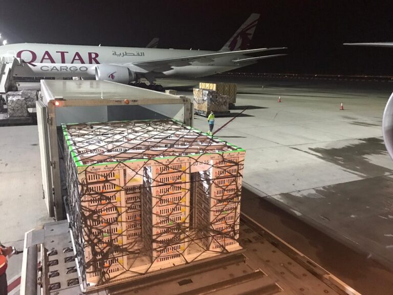Aviagen ships breeding chicks to Bangladesh despite COVID-19 flight restrictions
