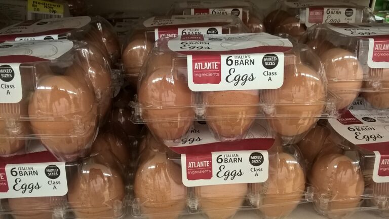 Sainsbury’s stocking Italian and Spanish barn eggs