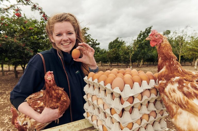 Morrisons’ Eggs For Farmers range helps fund woodland planting schemes