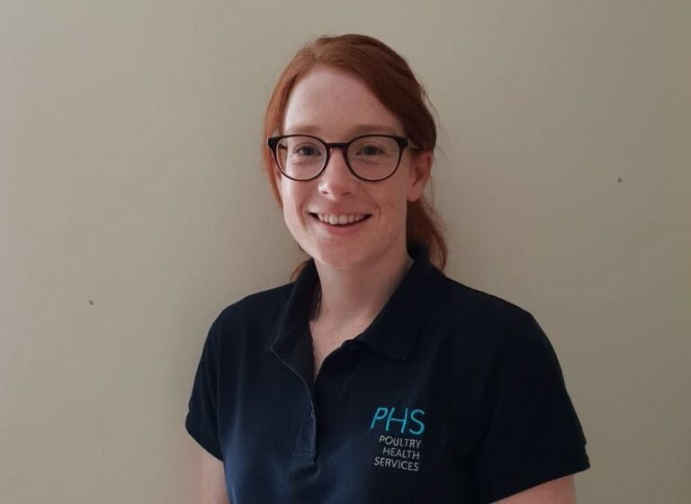 Opinion: A vet’s view on avian flu