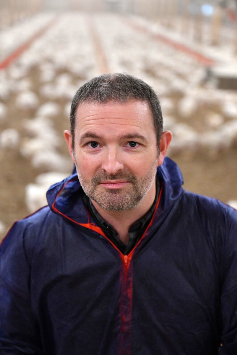 Early feeding: Why good chick nutrition lasts a lifetime