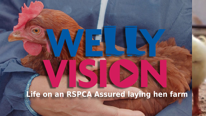 RSPCA Assured launches second episode of Welly Vision