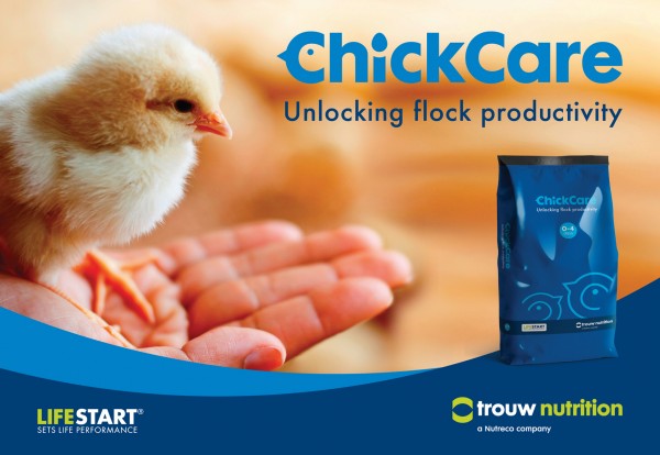 ChickCare – Unlocking Flock Productivity