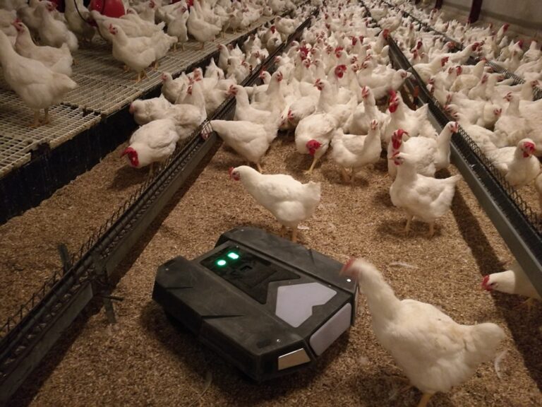 Tibot launches new poultry robot