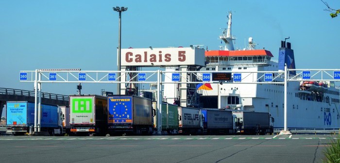 BVA raises disease alarm over delay to post-Brexit import checks