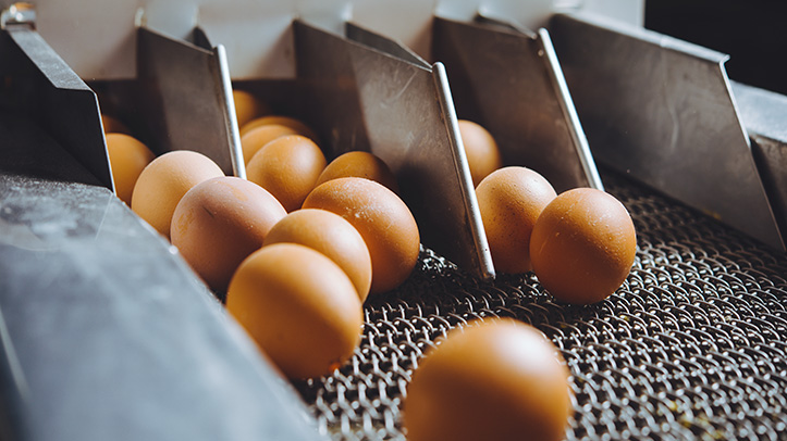 Egg prices in the US jump, as cost of production intensifies