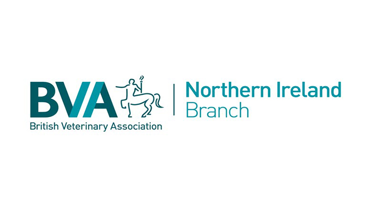 BVA sets out its priorities in Northern Ireland ahead of the Northern Ireland Assembly elections
