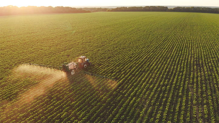 Soya: What’s the alternative?