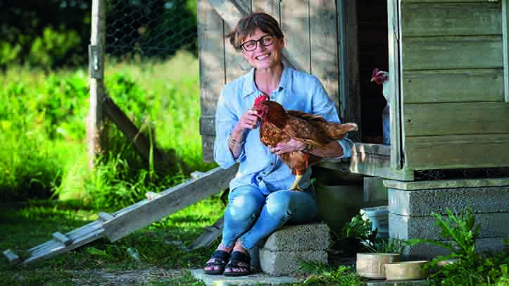 Charity and university team up to offer ground-breaking online poultry course