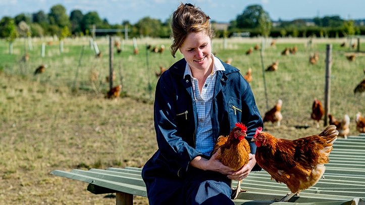 Tesco signs new five-year contracts with its five British egg suppliers