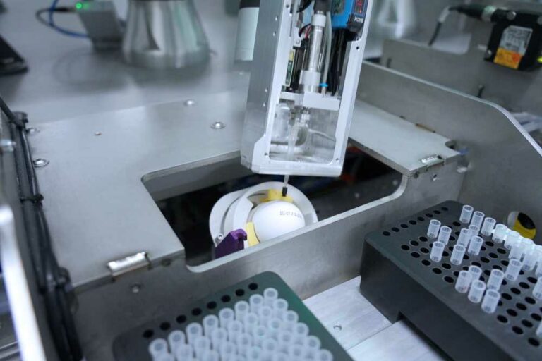 How sex selection technology is transforming the egg industry